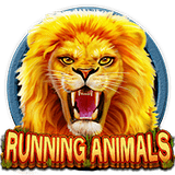 RTP CQ9  tropicana77