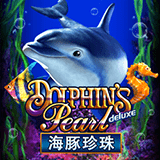 RTP joker  tropicana77